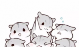 仓鼠萌漫画,欢乐日常，温馨瞬间